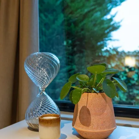 Schoorlse * سكورل