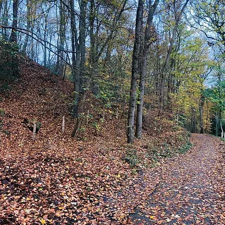 Schoorlse * Schoorl